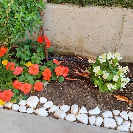 Sunrise A1, Sarafovo * Бургас