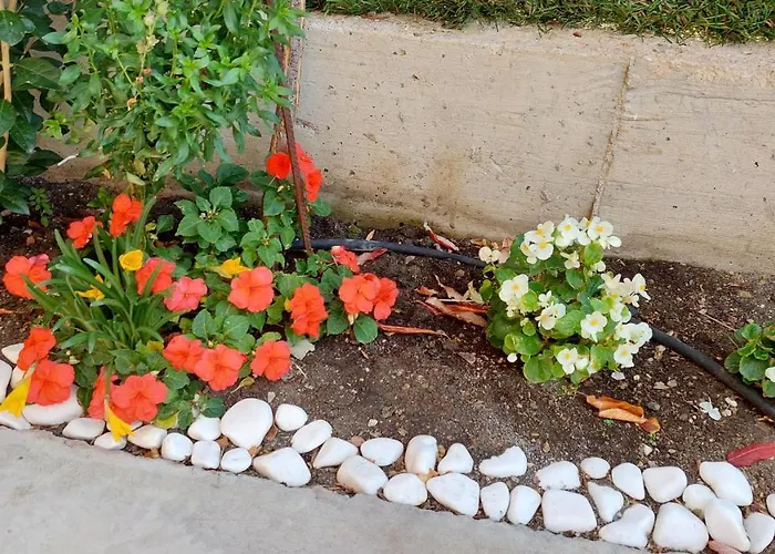 Sunrise A1, Sarafovo * Бургас